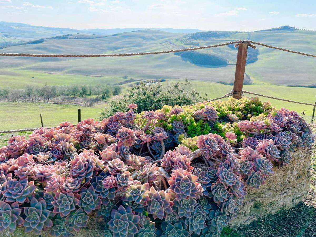 Poggiosalto In Toscana Pienza Eksteriør bilde