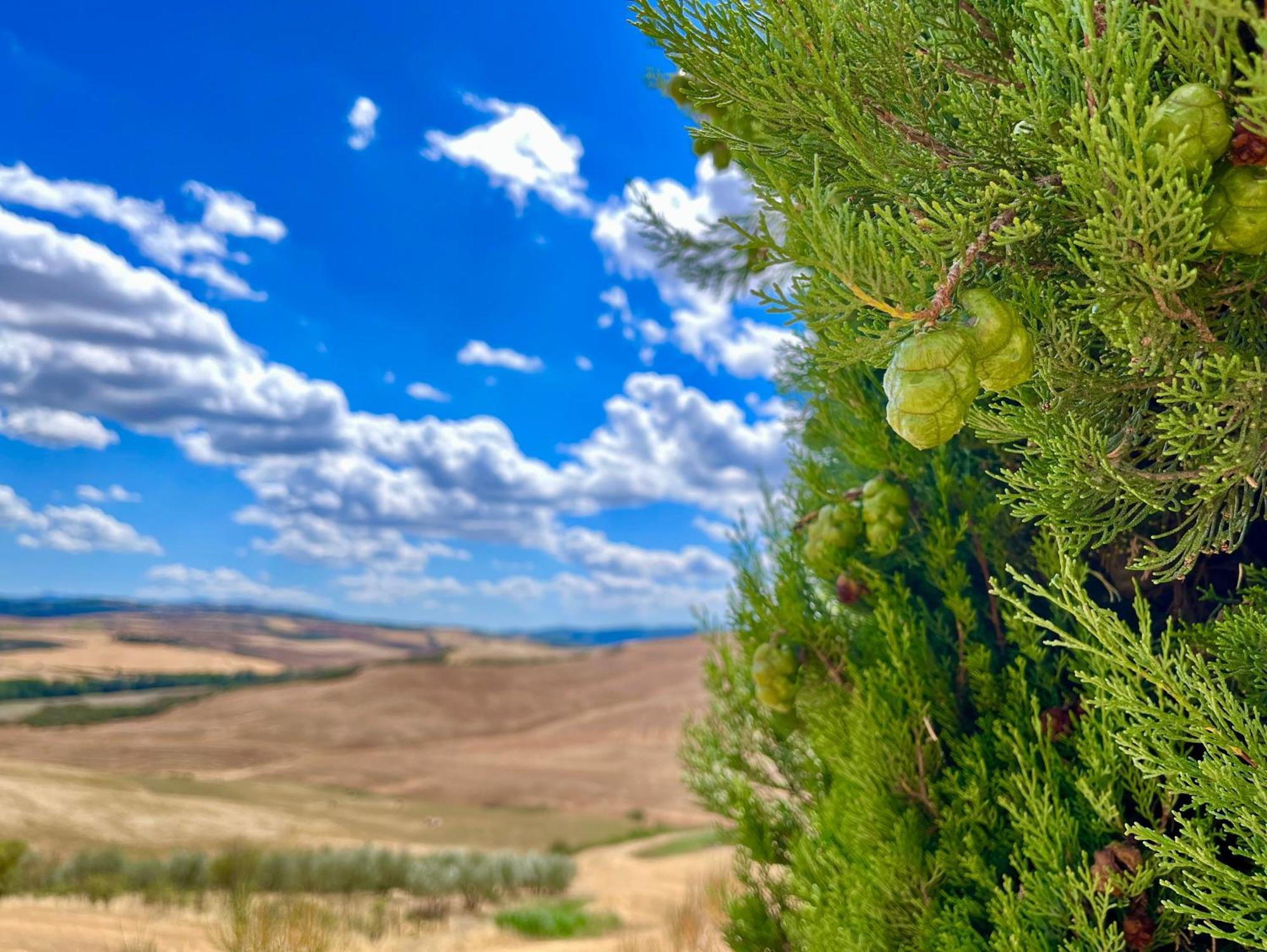 Poggiosalto In Toscana Pienza Eksteriør bilde